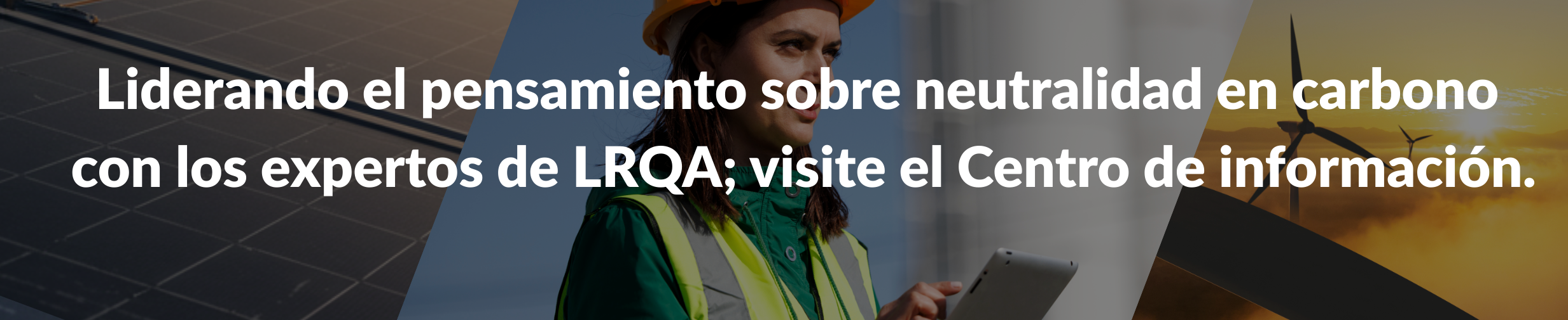 Net zero resource centre banner ES